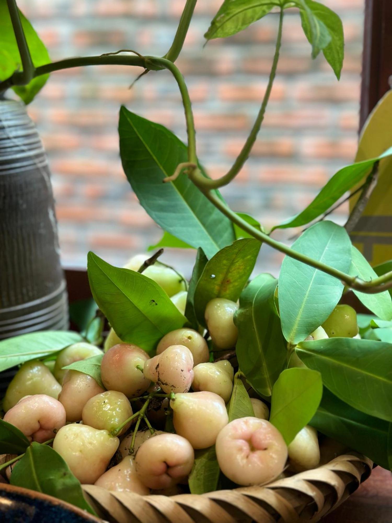 Trang An Heritage Garden Ninh Bình Kültér fotó