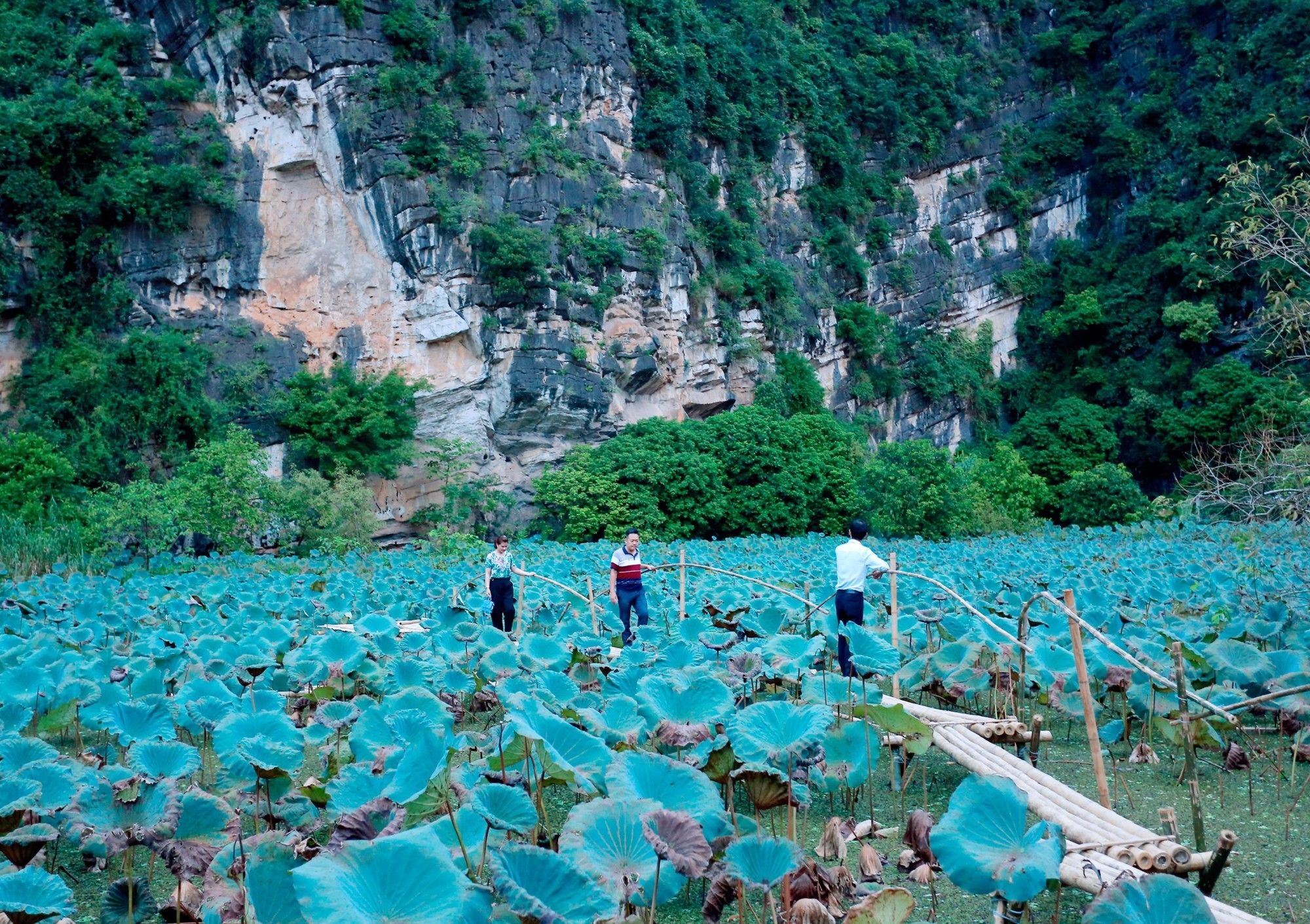Trang An Heritage Garden Ninh Bình Kültér fotó